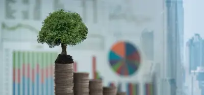 Yeşil Aklama Sözlüğü: Yeşil finansman nedir?
