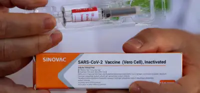 Sinovac aşılardaki "yeşil maymun hücresi" maymun çiçeği virüsüyle mi ilgili?