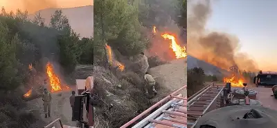 Video orman yangınlarına neden olan kişileri mi gösteriyor?