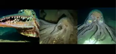Video okyanusta keşfedilen yeni canlıları mı gösteriyor?