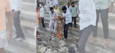 Video 188 yaşında mağarada bulunan adamı mı gösteriyor?