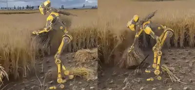 Çiftçilik yapan robot görüntüsü gerçek mi?