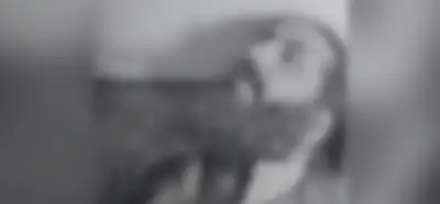 Fotoğraf HTŞ liderini mi gösteriyor?