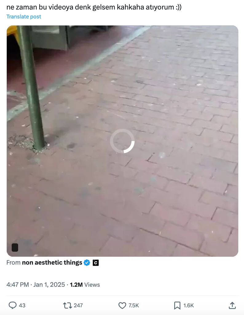 Çocuk taklidi yaparak okul otobüsüne binen kişiyi gösteren video gerçek mi?  - Teyit