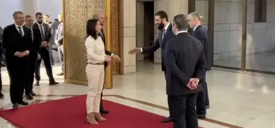 Almanya Dışişleri Bakanı “Colani benim elimi sıkmayı reddetti, ben de ona tatlı gülümsemeyi reddettim” dedi mi?