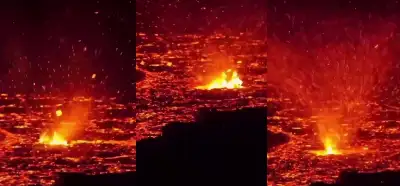 Video güncel Los Angeles yangınlarında mı kaydedildi?