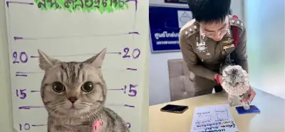 Fotoşəkil Taylandda polisə hücum etdiyi üçün həbs olunan pişiyi göstərir?