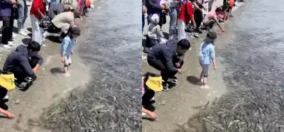 Görüntüler Gazze kıyılarındaki balıkları mı gösteriyor?