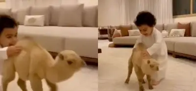 Bebek ve yavru deveyi oynarken gösteren video gerçek mi?