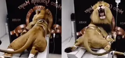 Qisqa ona va qiz porno Men uxlayotganimda geylar meni sikishdi