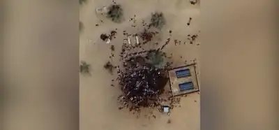 Uydu görüntüsü Sudan'da yapılan katliamı mı gösteriyor?
