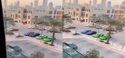 Dubayda dəvənin bahalı avtomobili zədələdiyini göstərən video gerçəkdir?