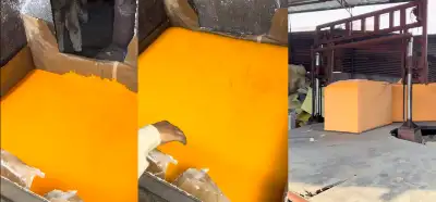 Videonun peynir yapımını gösterdiği iddiası