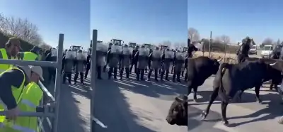Fransa'da boğaların polislere saldırdığını gösteren video gerçek mi?