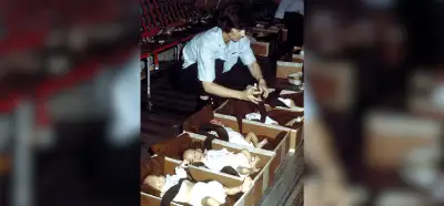 Görselin 1999 depreminde kaçırılan çocukları gösterdiği iddiası