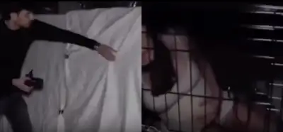 Kafesteki kadınları gösteren video Epstein dosyalarından mı çıktı?