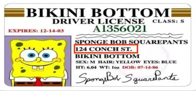 Sünger Bob’un ev adresi Epstein adasının adresiyle aynı mı?