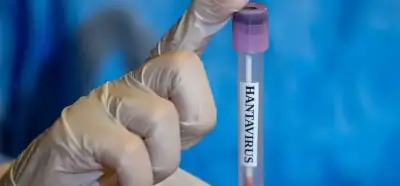 Hantavirüsün penis boyunu küçülttüğü iddiası