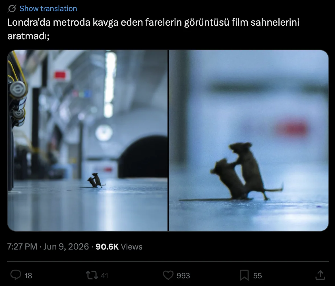 dovusen fareleri gosteren fotograf gercek mi 1 69d62d6b