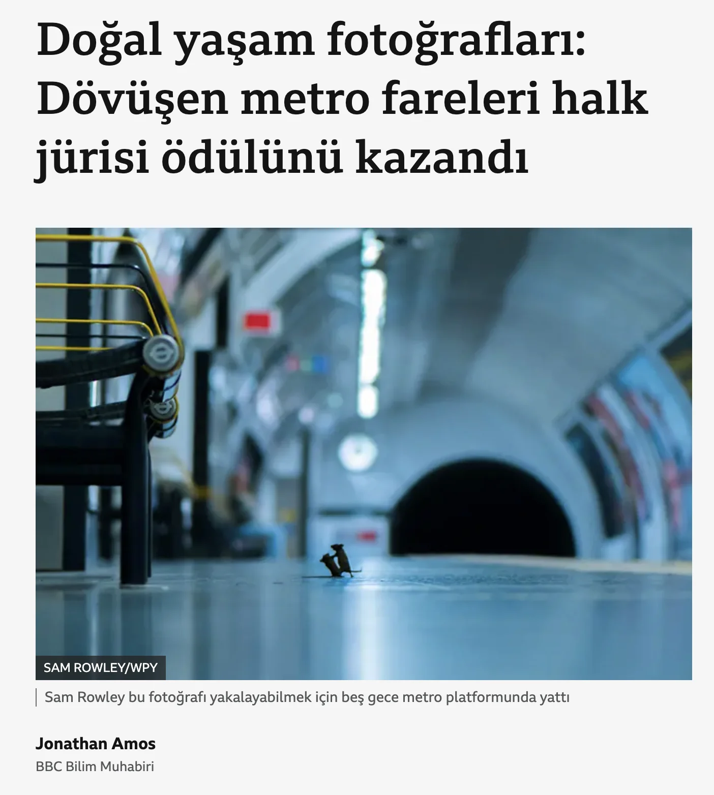 dovusen fareleri gosteren fotograf gercek mi 2 fcdced85