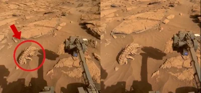 Mars'ta dev bir canlı olduğunu gösteren görüntü gerçek mi?