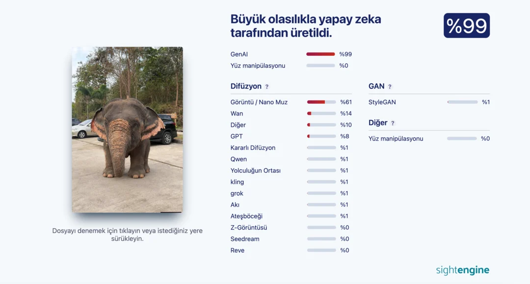 tiknaz fil gorselleri gercek mi 3 b0e54e89
