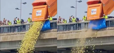 Video İspanya'da nehre bırakılan “canlı” ördek yavrularını mı gösteriyor?