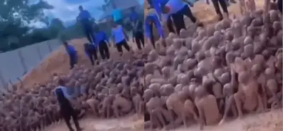 Video elmas madenlerinde çalışmak için satılan Afrikalıları mı gösteriyor?
