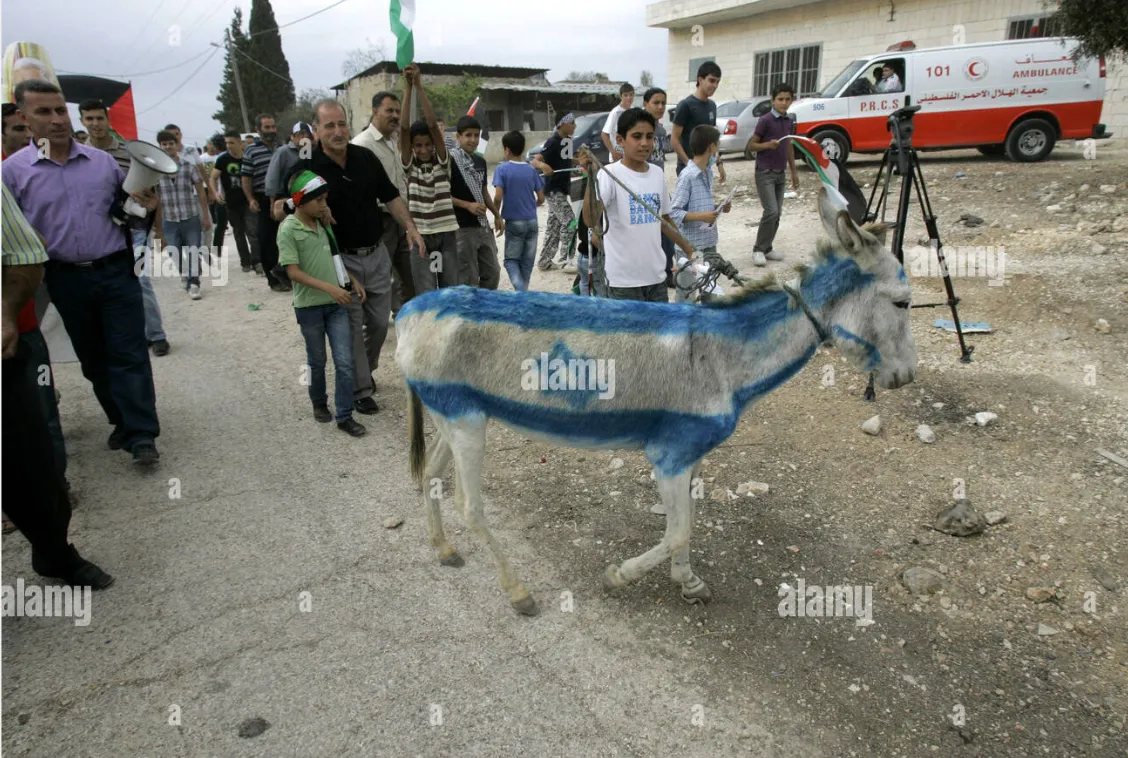 alamy esek gorseli israil bayragi
