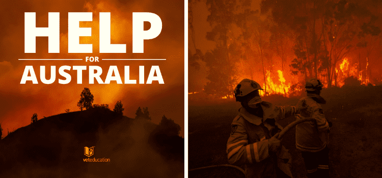 Avustralya yangınlarında yardım çağrısı yapılmadığı iddiası