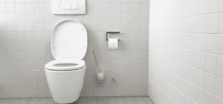 İskoçya’da tuvaleti kullanmak isteyenlerin eve alınmasının hukuki zorunluluk olduğu iddiası