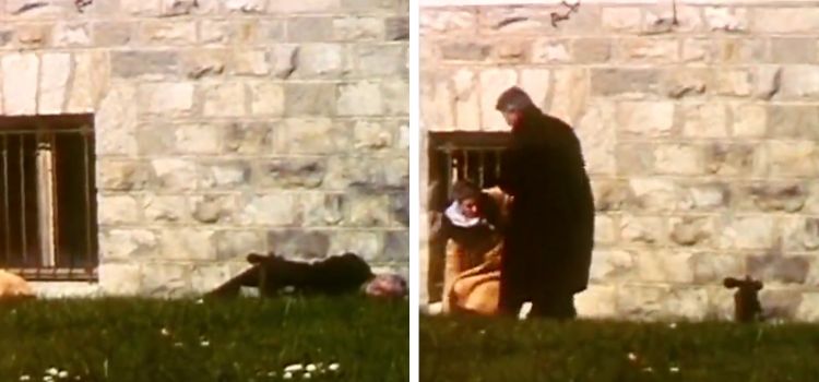 Videonun Çavuşesku ailesinin kurşuna dizilmesinin düzmece olduğunu gösterdiği iddiası