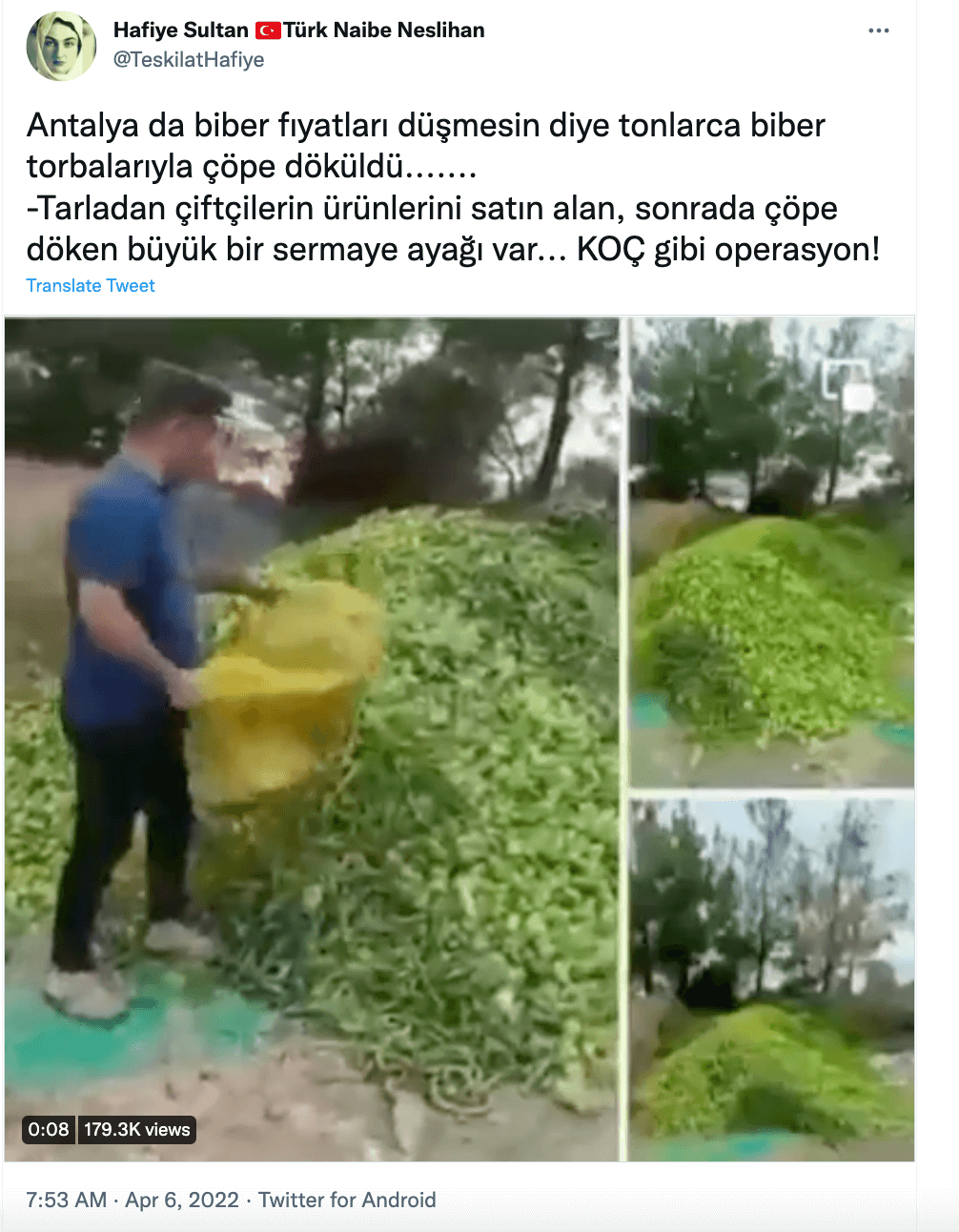 antalyada biberlerin dokuldugu iddiasi video