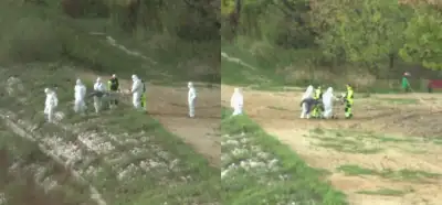 Video Avustralya'da bulunan gizemli bir yaratığa mı ait?
