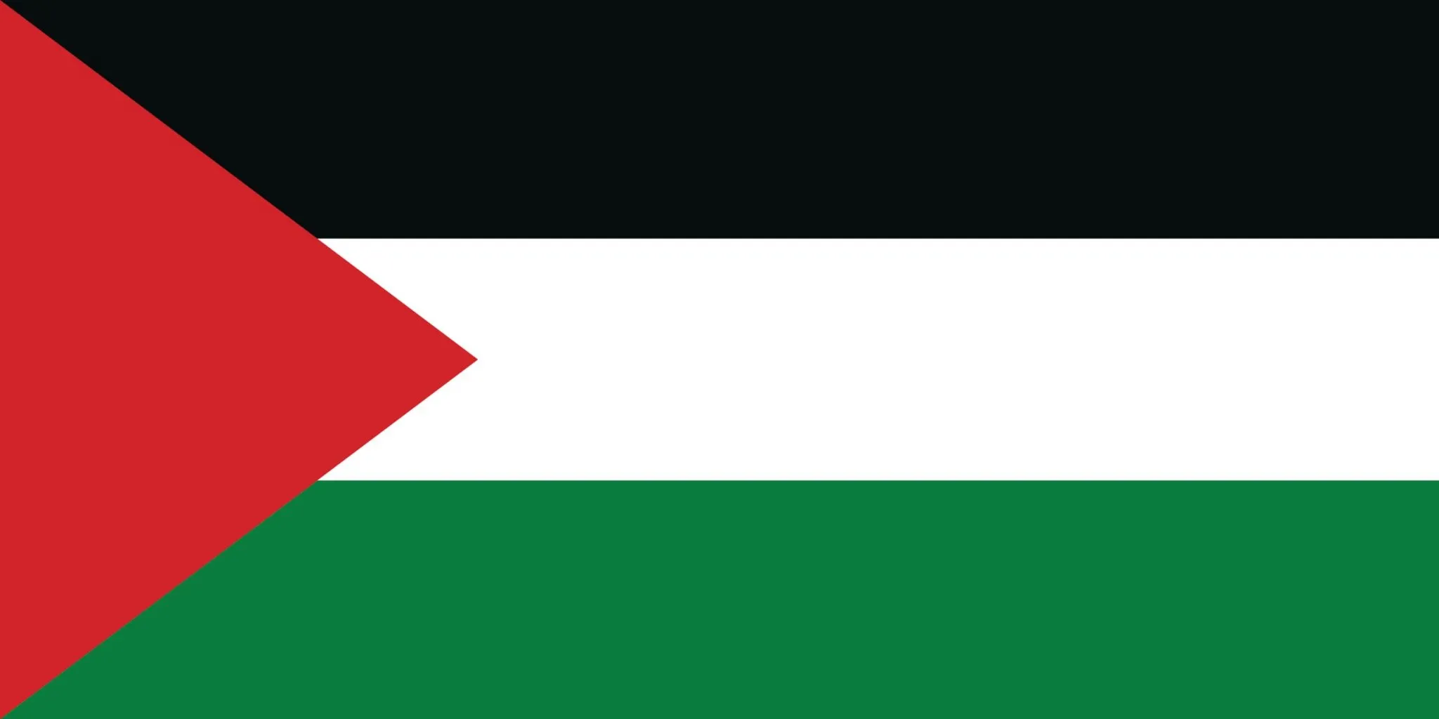 flag palestine 2