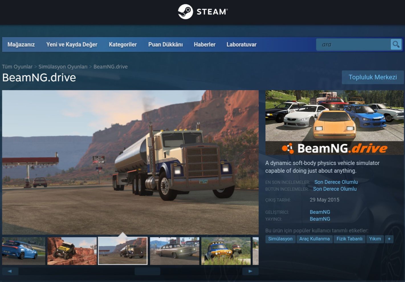 beamng oyun