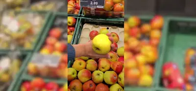 Bir kişinin elinin tersiyle elma tutabildiğini gösteren video gerçek mi?