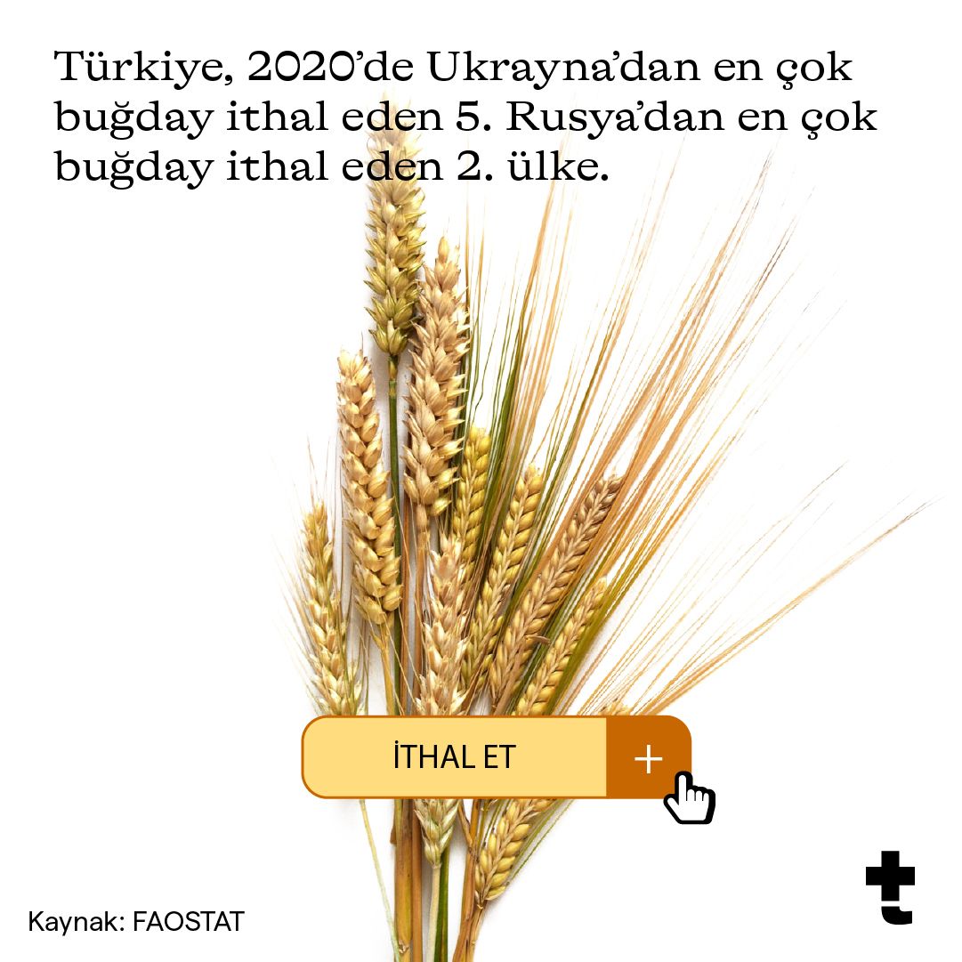 bugdayithaljpg