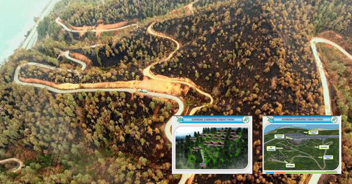 Çamburnu Tabiat Parkı projesi ve Sürmene'deki yangın arasında bir ilişki var mı?