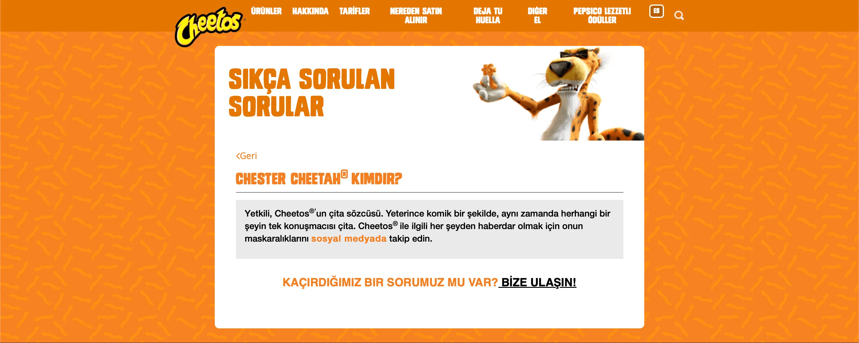 cheetos cipslerinin formunun maskotlarindan geldigi iddiasi3