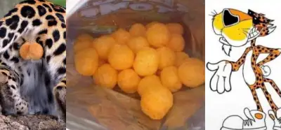 Cheetos’un şeklini maskotunun testislerinden aldığı iddiası