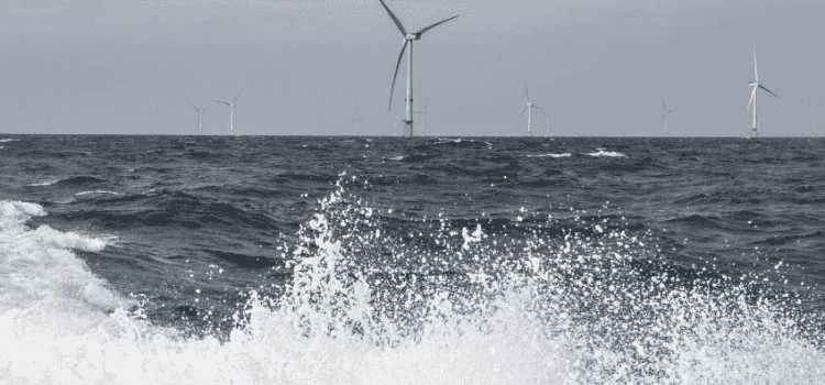 Danimarka’da elektrik enerjisinin yüzde 40’ının dalgalardan sağlandığı iddiası