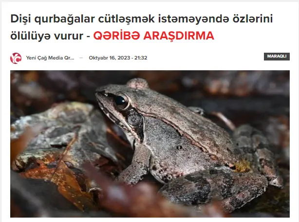 Dostlar Xotinimni Sikish Porno Online