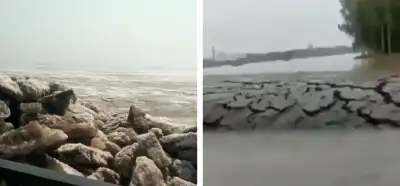 Görüntüler dünyanın çeşitli bölgelerindeki kıta hareketlerini mi gösteriyor?