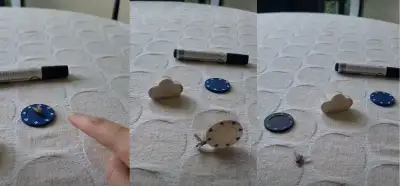 Eğitilmiş sinek videosu gerçek mi?