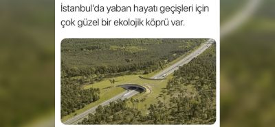 Fotoğraftaki ekolojik köprünün İstanbul’da olduğu iddiası