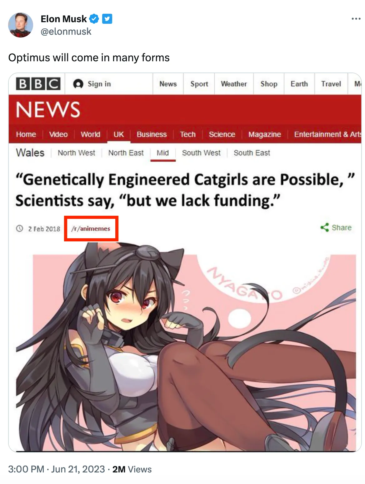 Genetically Engineered Catgirls are Possible,  Scientists say, “but we  lack funding.” - iFunny