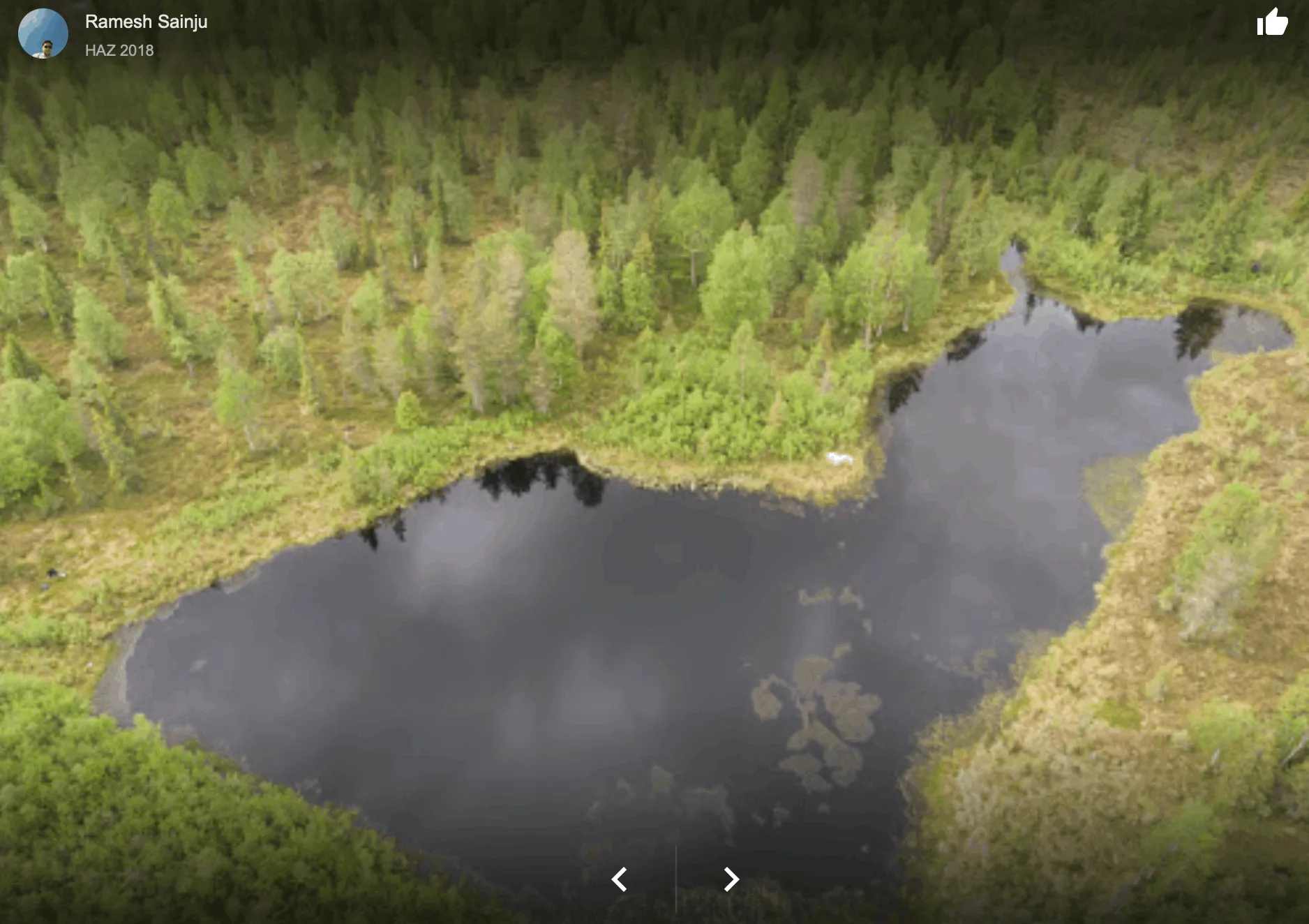 finlandiyadakigoliddiasiicgorsel5