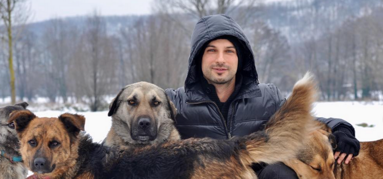Tarkan’ın sokak köpekleri için çiftlik satın aldığı iddiası