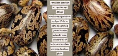 Fotoğraftaki Afrika'dan getirilip okullarda satılan bir uyuşturucu mu?